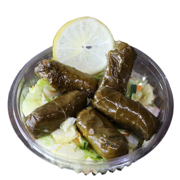 Dolma Mazaa